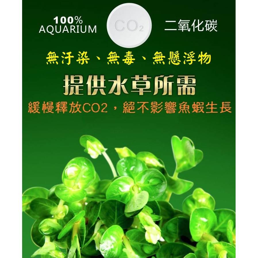 12錠 36錠 二氧化碳co2 水草水草缸二氧化碳錠二氧化碳片海草水中植物免用二氧化碳鋼瓶 蝦皮購物