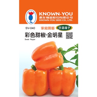 《農友種苗》特選蔬果種子 SV-040彩色甜椒-金明星