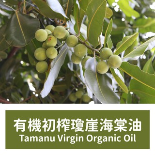 【馥靖精油】有機初榨瓊崖海棠油 (伊諾菲倫油) Tamanu Virgin Organic Oil