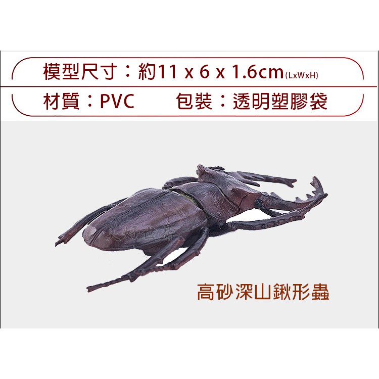 栩栩如生 高砂深山鍬形蟲 優質仿真模型野生動物昆蟲 新品現貨面交 蝦皮購物