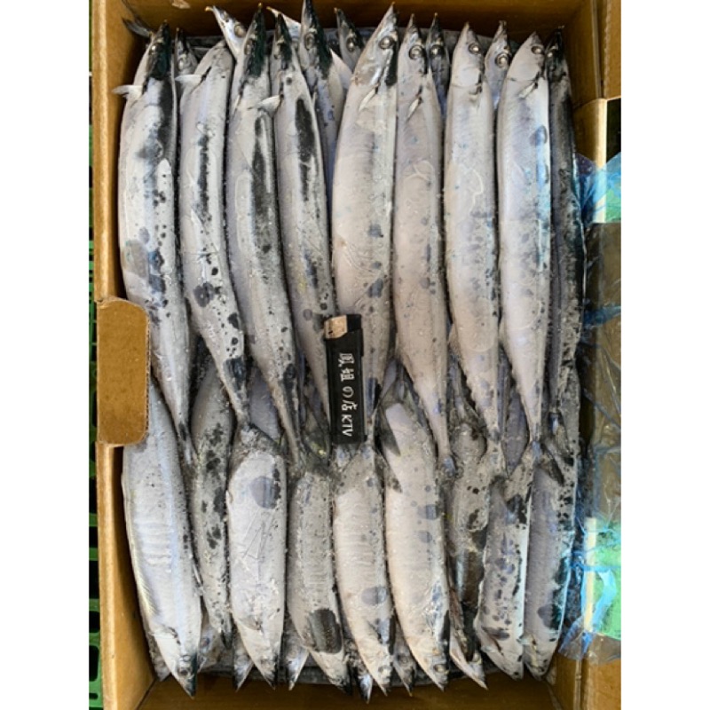 訸登大海產 極度冷凍 大隻秋刀魚 10kg 產地價 火鍋燒烤日式料理中秋節 蝦皮購物