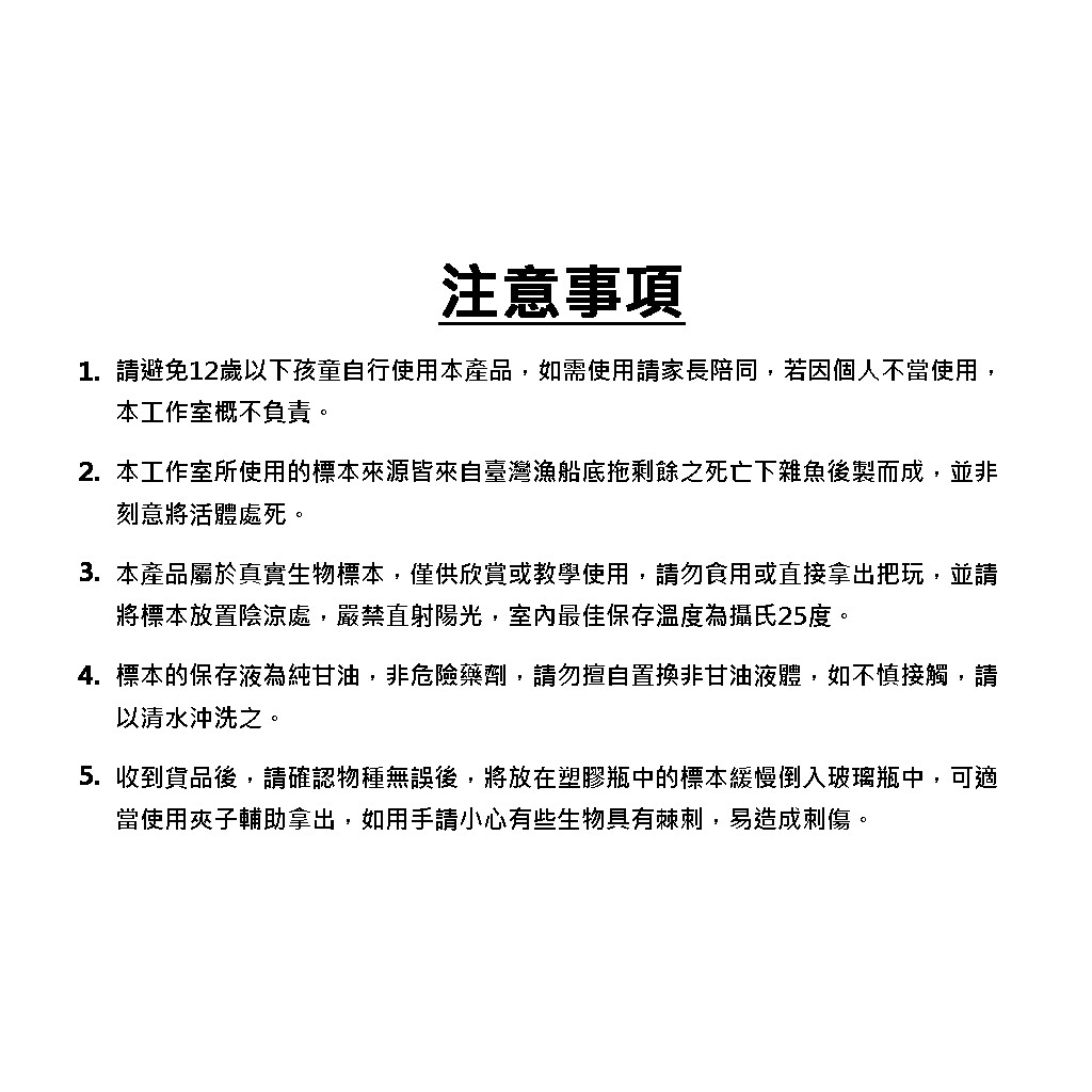 海琉工作室 透明生物標本 瞻星魚 瞻星魚科uranoscopidae 蝦皮購物