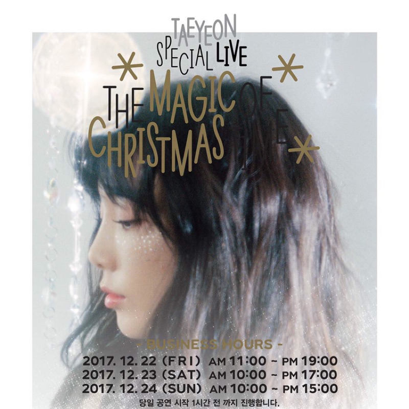 太妍 聖誕 演唱會 週邊商品 Taeyeon 照片卡冊 徽章 日記本 拼圖 暖暖包