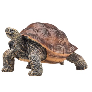 動物模型 mojo fun 巨陸龜 龜