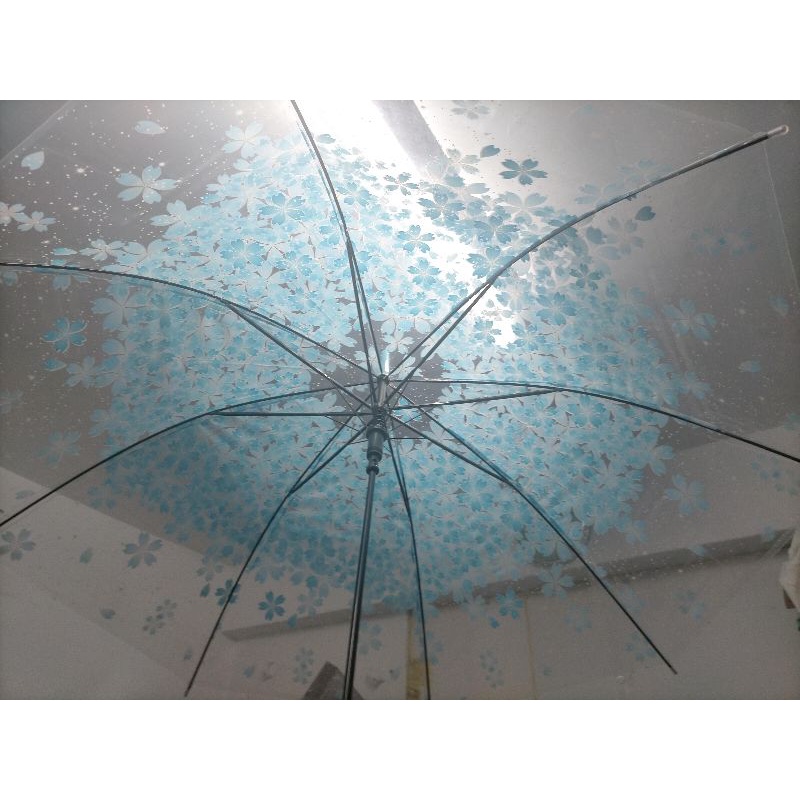 全新透明櫻花雨傘藍色 綠色雨傘