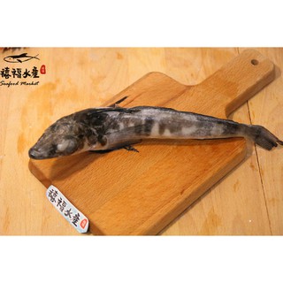 【禧福水產】南極冰魚/冰島冰魚/包冰約30%◇$特價129元/隻◇最低價餐廳團購日本料理法國菜義大利無菜單燒烤牛排