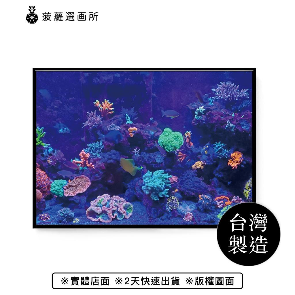 海底世界 • 異彩珊瑚 - 大自然/多彩/生態/自然掛畫/水族館/放鬆佈置/客廳