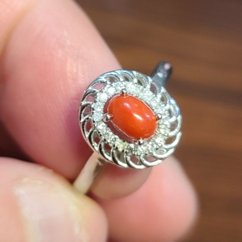 紅珊瑚 阿卡 戒指 女戒 蛋面 天然 ❤水晶玉石特賣#B477