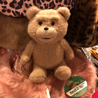 日本娃娃機限定ted泰迪熊麻吉娃娃（坐姿）
