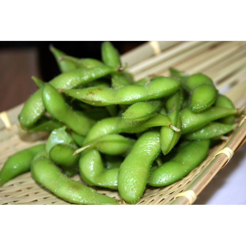 毛豆菜用大豆枝豆種子種苗菜苗花苗蔬菜水果 蝦皮購物
