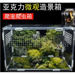 角蛙飼育盒 優惠推薦 21年11月 蝦皮購物台灣