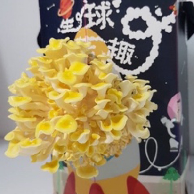 🍄MB🍄星球採菇趣/魔菇FUN🍄太空包 菇菇 採菇 種菇 聖誕禮物 交換禮物