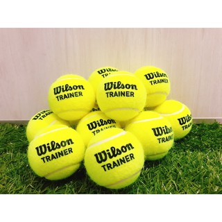 《奧神體育》WILSON 威爾勝 網球 Trainer 無壓練習球 網球練習球 教學用網球