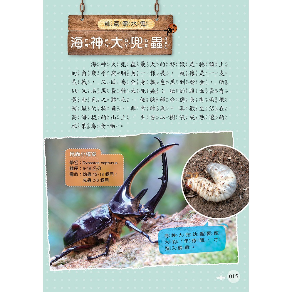 世界甲蟲圖鑑小百科 鞘翅目 蝦皮購物