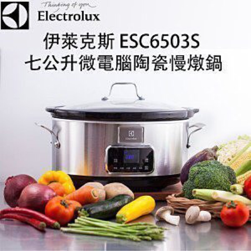 Electrolux 伊萊克斯 微電腦程式燉鍋(全新含盒含運）