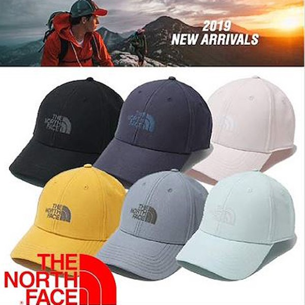the north face classic cap