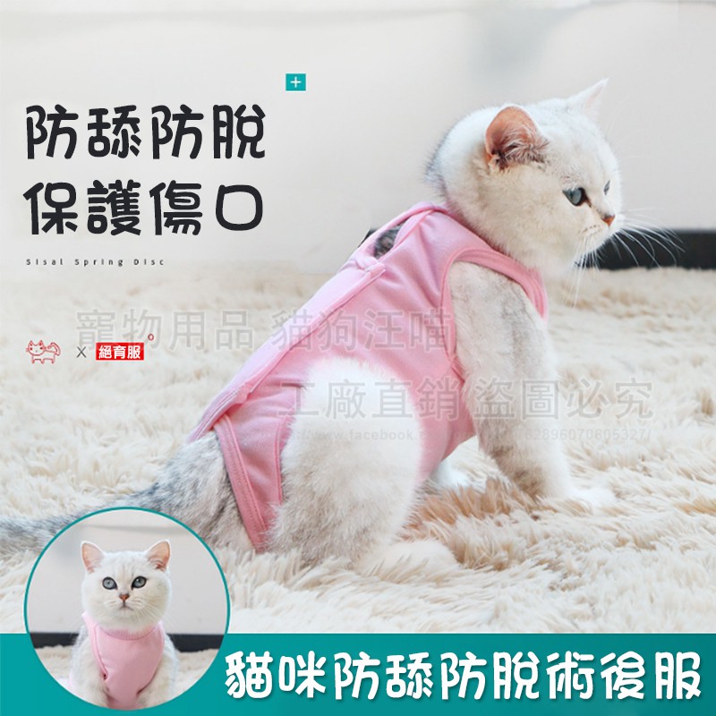 貓咪防舔防脫術後服寵物結紮貓咪防舔母貓斷奶手術護理服寵物術後服寵物防舔貓術後服 蝦皮購物