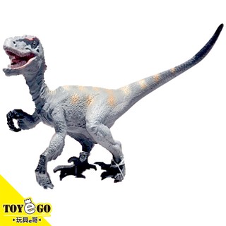 恐龍王國 遠古時代 侏儸紀 伶盜龍 灰 玩具e哥 24705