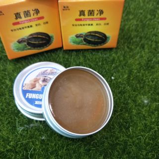 ((🚚快速出貨🚚))2026最新效期 真菌淨 原罐裝20g 烏龜 龜殼 角質化 爛甲 真菌凈