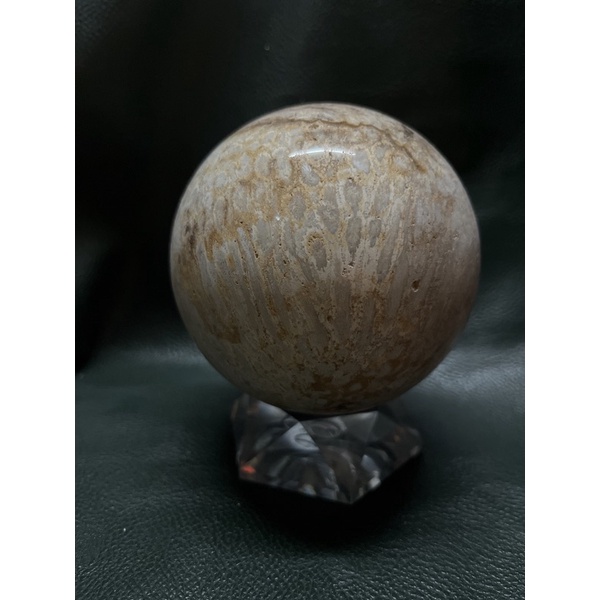 珊瑚玉化石球9.3cm