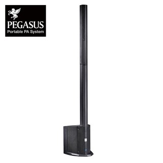 Pegasus T1 立柱形主動式喇叭系統【敦煌樂器】