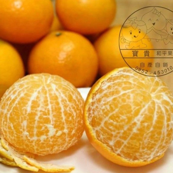 【2024年鮮採】橘中之王-帝王柑，新品黃金茂谷柑（台中和平區產）自產自銷，10台斤禮盒裝