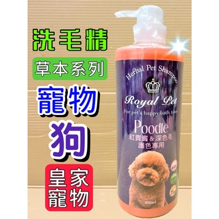 🌷妤珈寵物店🌷皇家寵物➤紅貴賓&深色毛專用 洗毛精 500ml/瓶➤沐浴乳 草本溫和 低敏感 Royal Pet 犬 狗