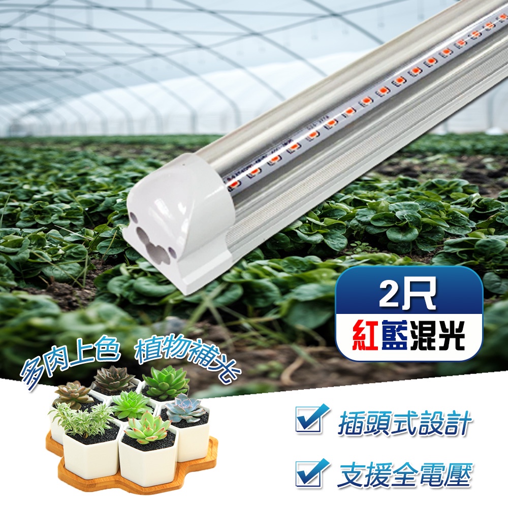 T8 燈管系列 植物燈管 一體式散熱器 紅藍混光 2尺 植物燈 植物生長燈管 LED燈管 保固一年