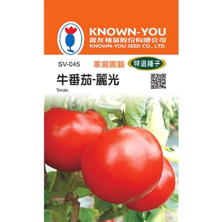 《農友種苗》特選蔬果種子 SV-045牛番茄-麗光
