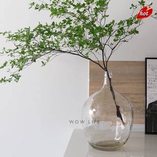 吊鐘馬醉木南天竹花瓶北歐透明大肚玻璃花瓶插花水培小口桌面花瓶 蝦皮購物