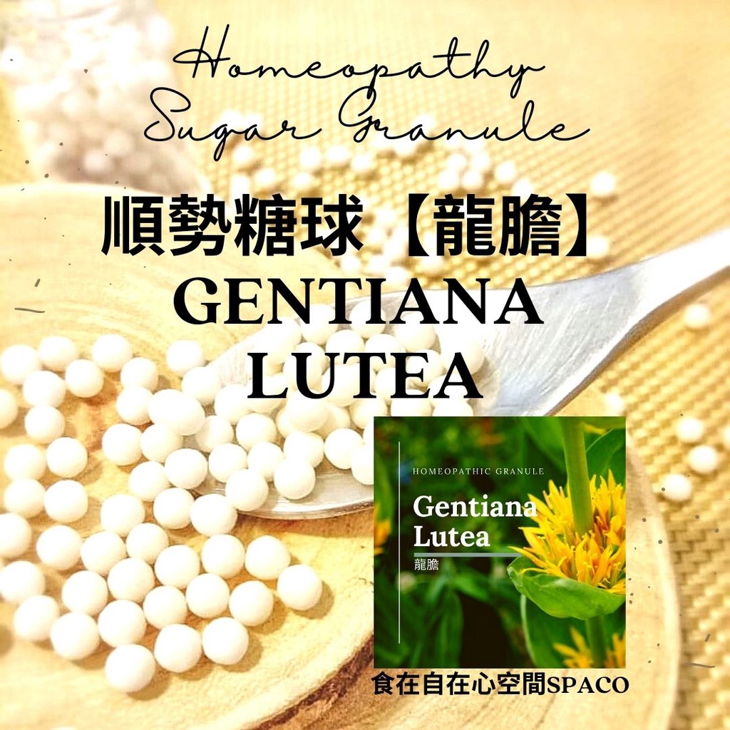 順勢糖球【龍膽●Gentiana Lutea 】Homeopathic Granule 9克 食在自在心空間