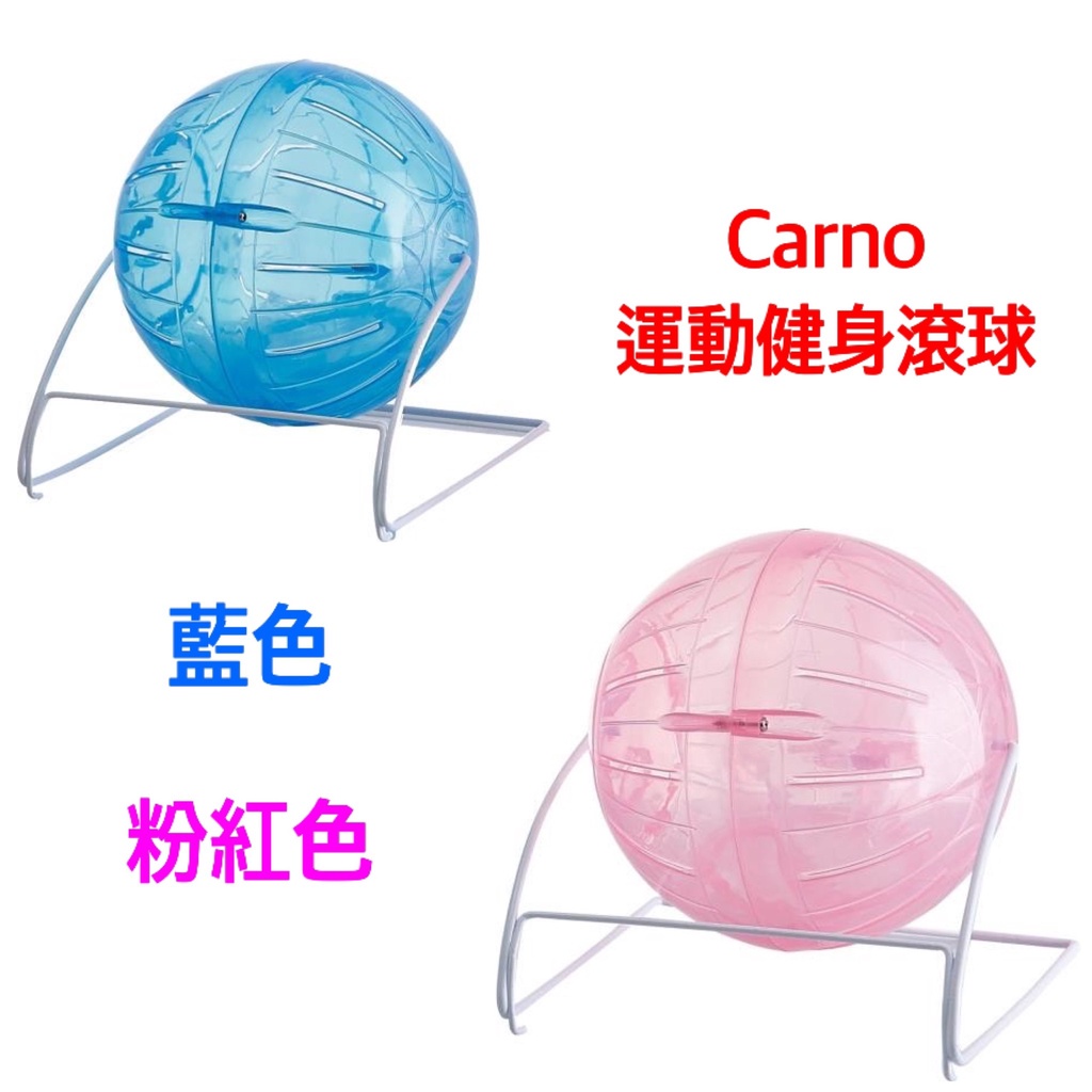 卡諾CARNO 運動健身滾球12cm 倉鼠滾球 跑球 運動跑球 滾輪 玩具球 倉鼠 黃金鼠 老鼠玩具