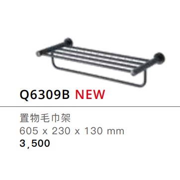 【CAESAR凱撒/原廠保固 】實體店面 Q6309B  黑色毛巾置衣架 不鏽鋼毛巾架 台中免運