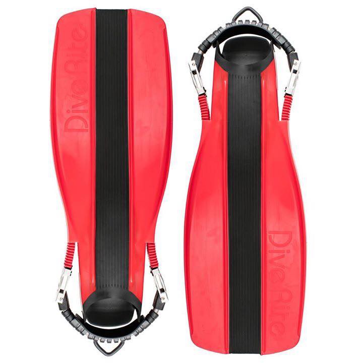 噹噹的潛水小舖 Diverite Xt Fin 新版塑鋼扣 極致蛙王 蝦皮購物