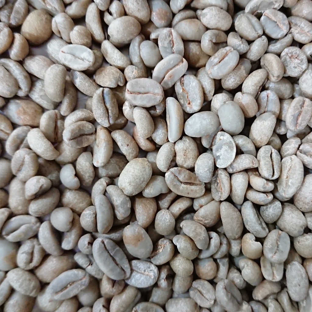衣索比亞 古吉 罕貝拉 古蝶索杜 日曬 咖啡生豆74165 單一品種 1KG 未烘焙