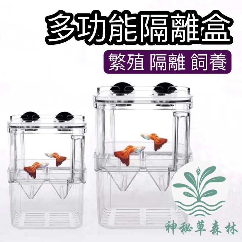 孔雀魚幼魚 優惠推薦 22年8月 蝦皮購物台灣