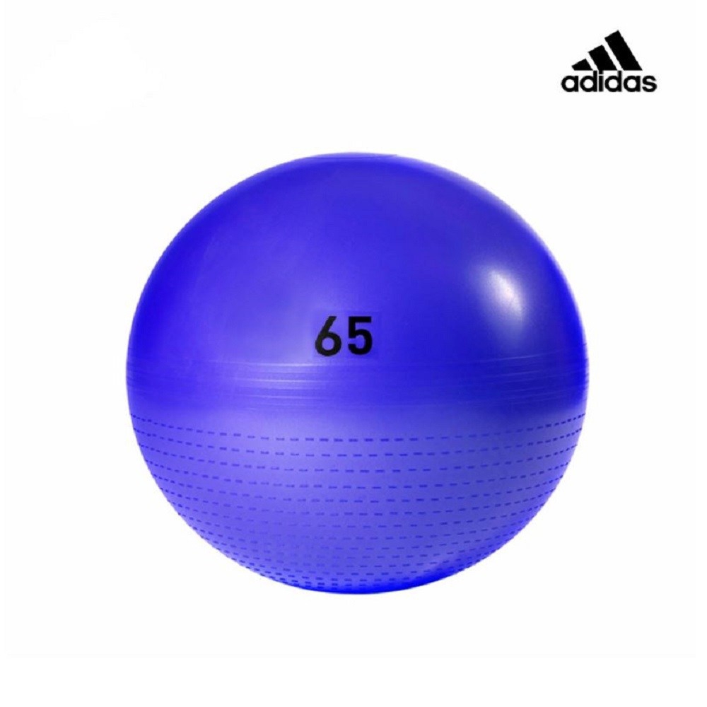 Adidas Training 伸展減壓瑜珈球 紫 65cm