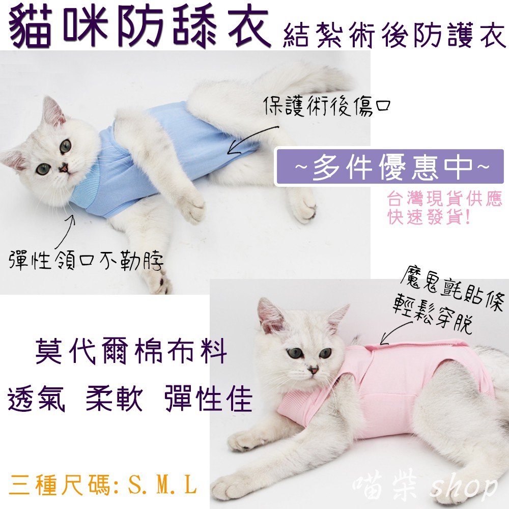 【喵柴小舖】台灣發貨 貓咪防舔衣 莫代爾棉結紮衣 絕育服