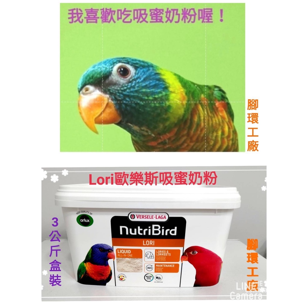 【腳環工廠】LORI歐樂斯-吸蜜鸚鵡營養素~(雛、成鳥手餵飼料)3公斤原裝盒/ 各種吸蜜鸚鵡、懸掛鸚鵡及無花果鸚鵡皆適合