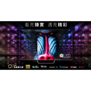 CHIMEI 奇美 65型 QLED多媒體液晶顯示器 液晶電視 液晶螢幕 TL-65Q100