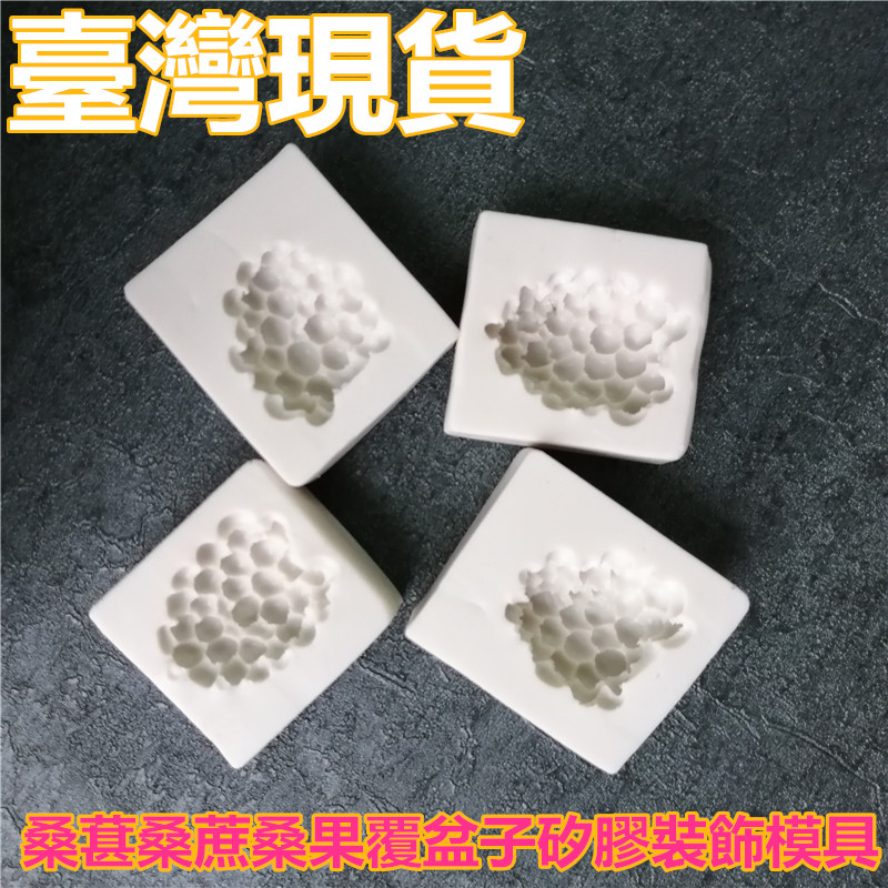 臺灣現貨 新款烘焙工具  桑葚桑蔗桑果覆盆子矽膠裝飾模具翻糖蛋糕矽膠模具（恩）