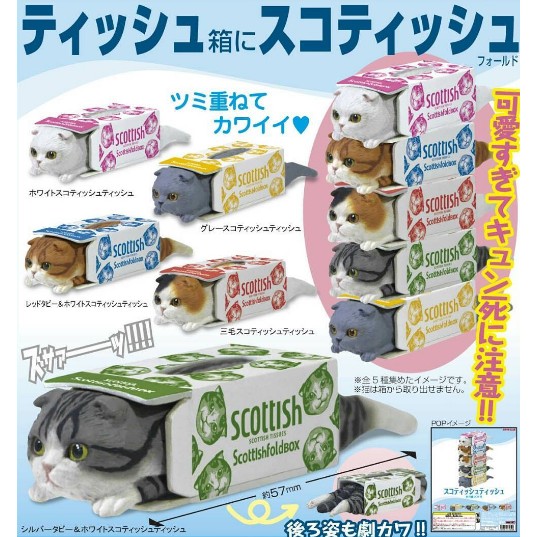 衛生紙 盒子 貓 紙盒 疊疊樂 貓咪 扭蛋