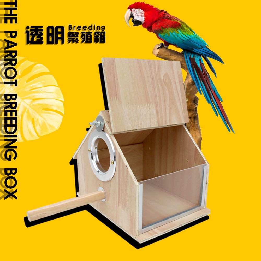 BX PET 鸚鵡繁殖箱 房型透明 玄鳳虎皮牡丹用鳥類用品 鳥窩 鳥巢箱