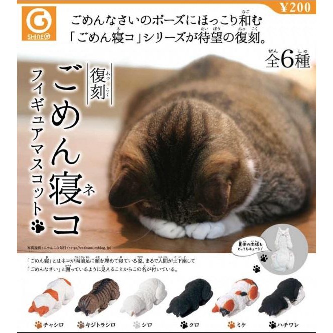 道歉睡姿 優惠推薦 21年6月 蝦皮購物台灣