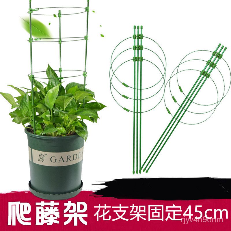 植物爬藤架生長支架花支架牽引攀爬支柱花架園藝盆栽種菜種花月季 蝦皮購物