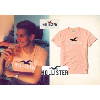 A&F副牌HCO真品Hollister APPLIQUE LOGO GRAPHIC TEE海鷗短T-粉