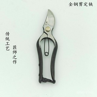 園藝用品 石頭模具 插花剪刀池坊剪插花剪刀日本花剪花藝師專用園藝剪刀家用剪花修枝剪不銹鋼 新款剪定鋏 可剪粗枝