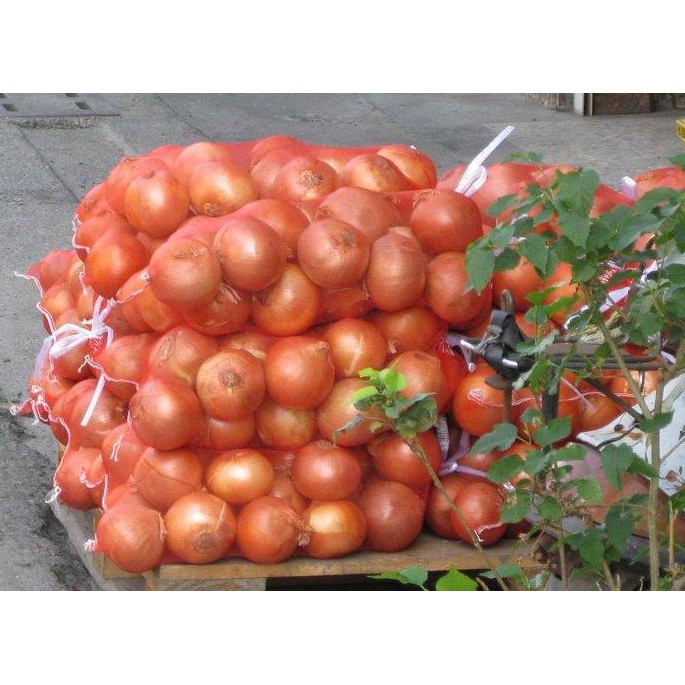 蔥頭 網袋 蒜頭 洋蔥頭 百香果 玉米 蒜頭 資源回收 攤販 市場 超市專用網袋