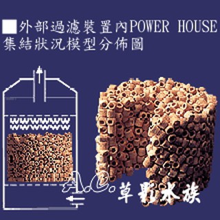 【AC草影】 Power House 陶瓷環 微鹼 S號（1L）【一盒】培菌濾材 淨化水質 生化濾材 過濾水 魚缸培菌