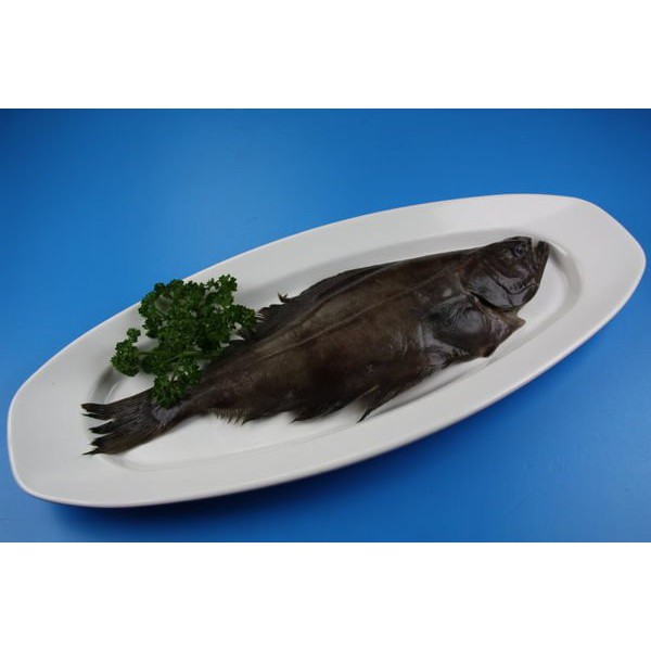 【萬象極品】小鱈魚(比目魚.扁鱈)/約505g±5%~敎您做清蒸小鱈魚